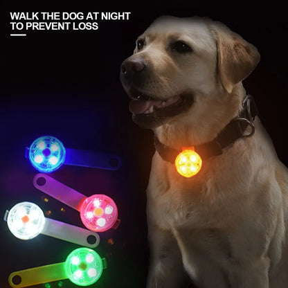 Dog Anti Loss Collars LED Waterproof Safety Flashing Light USB Rechargeable Night Glowing Pendant For Dogs Cats Pets