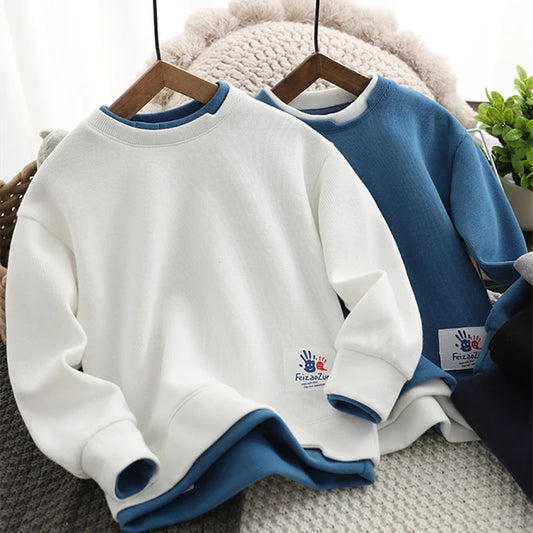 Boys Hoodies Sweatshirts Cotton Tops Outwear 2023 Fashion Spring Autumn Windproof Kids Teenagers Children's Clothing