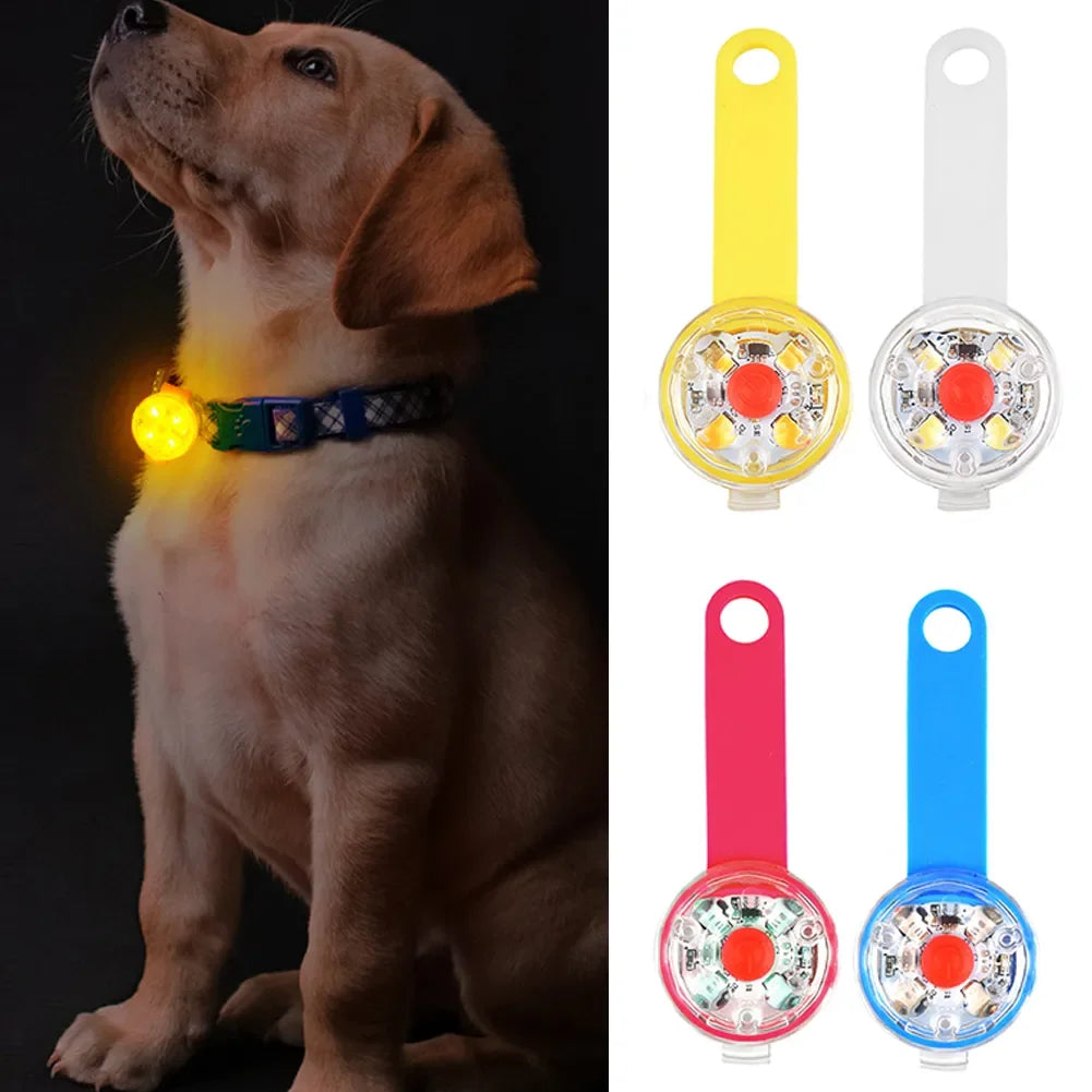 Dog Anti Loss Collars LED Waterproof Safety Flashing Light USB Rechargeable Night Glowing Pendant For Dogs Cats Pets