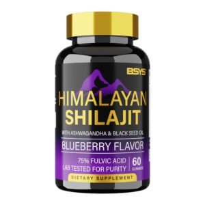 BSYS SHILAJIT GUMMIES 60'S
