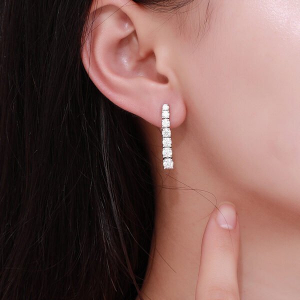 Moissanite Long Tassel Women's Elegant High-grade Light Luxury Earrings Niche Design Sweet - Image 5