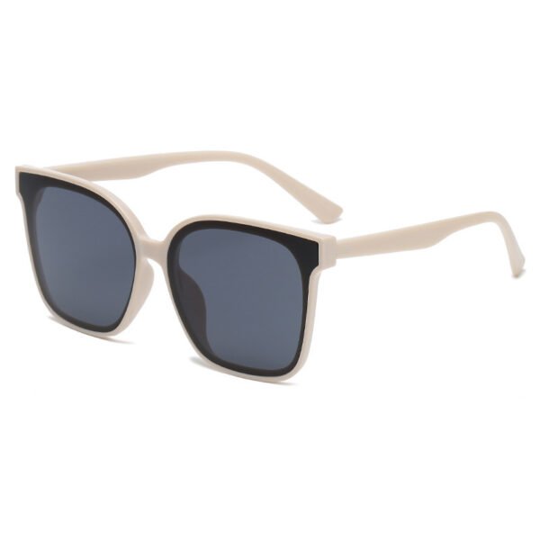 Retro Internet Hot Simple Sunglasses For Men And Women - Image 6