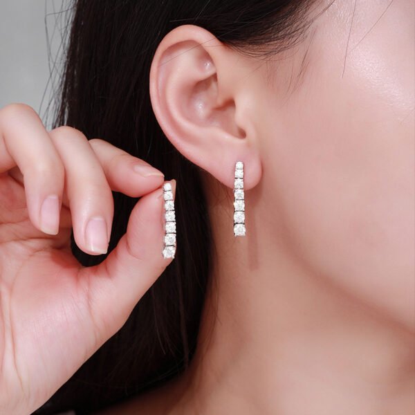 Moissanite Long Tassel Women's Elegant High-grade Light Luxury Earrings Niche Design Sweet