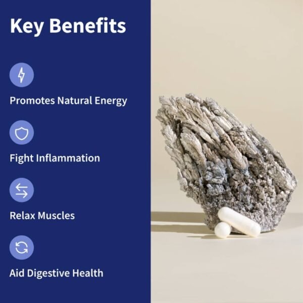 BSYS Magnesium Supplements Sleep & Anxiety Relief Aid Muscle Relaxation Support Heart Health & Blood Sugar Balance Formula Cognitive Function Enhancement Nighttime Wellness Supplement - Image 6